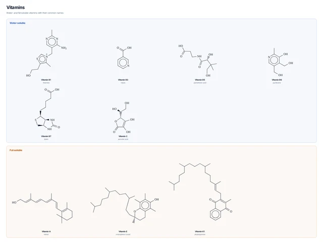 Vitamins template preview