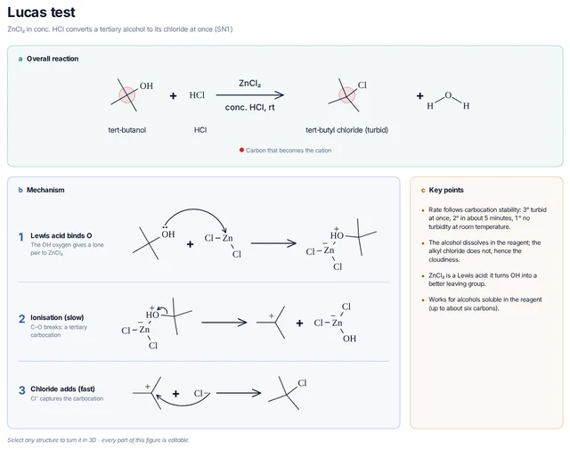 Lucas test template: ZnCl₂ binds the OH oxygen, the C–O bond breaks to a tertiary carbocation and chloride captures it; the insoluble tert-butyl chloride makes the solution turbid immediately.