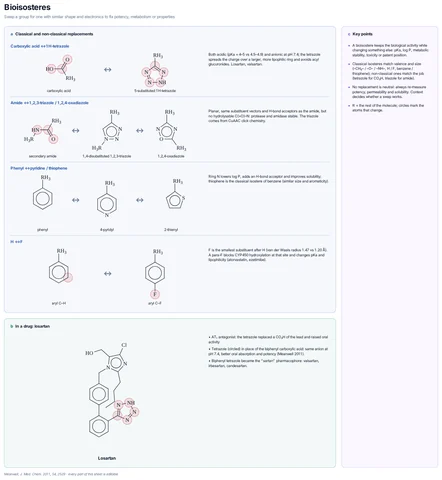 Bioisosteres template preview