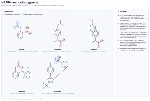 NSAIDs and cyclooxygenase template preview