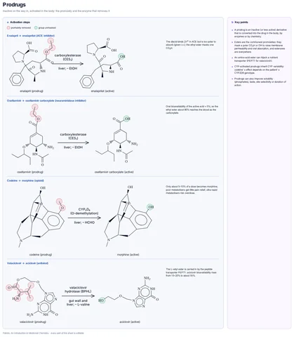 Prodrugs template preview