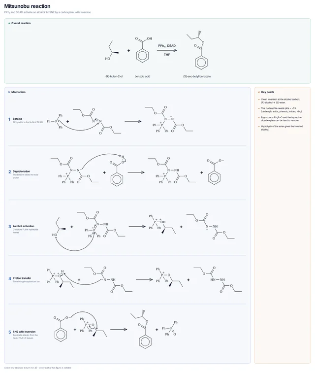Mitsunobu reaction mechanism template