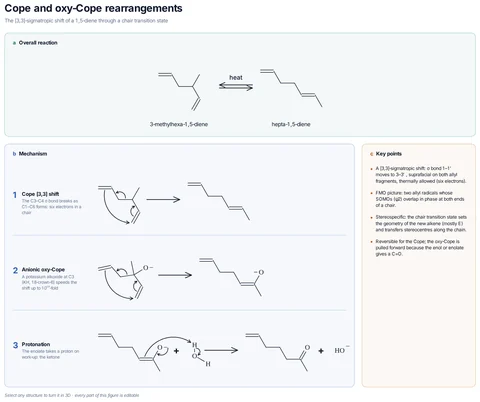 Cope and oxy-Cope rearrangements template preview