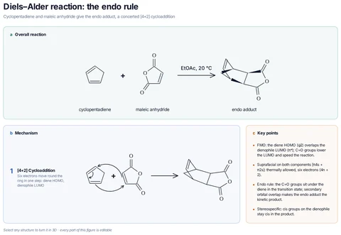 Diels–Alder reaction: the endo rule template preview