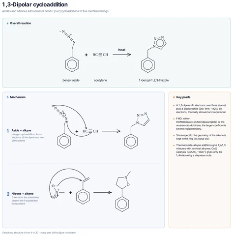 1,3-Dipolar cycloaddition template preview