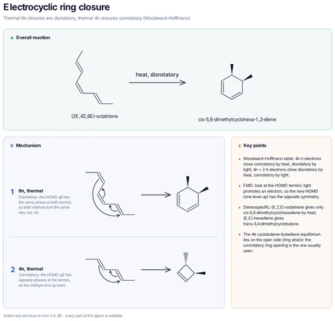 Electrocyclic ring closure template preview