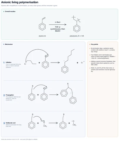 Anionic living polymerisation template preview