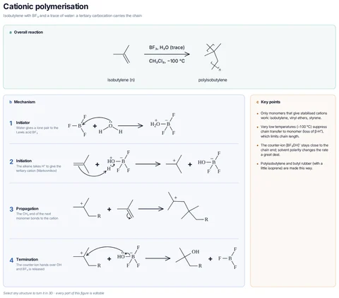 Cationic polymerisation template preview