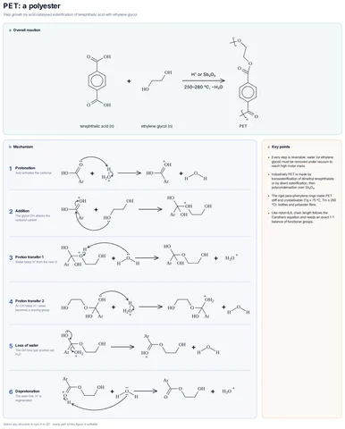 PET: a polyester template preview
