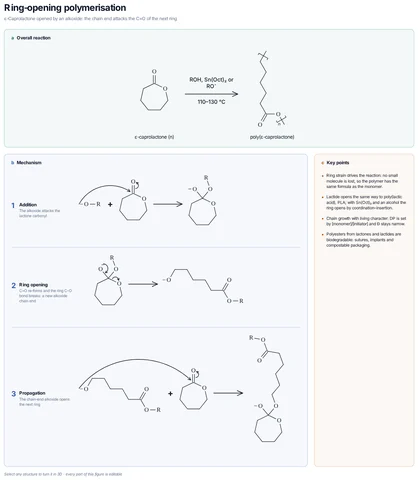 Ring-opening polymerisation template preview