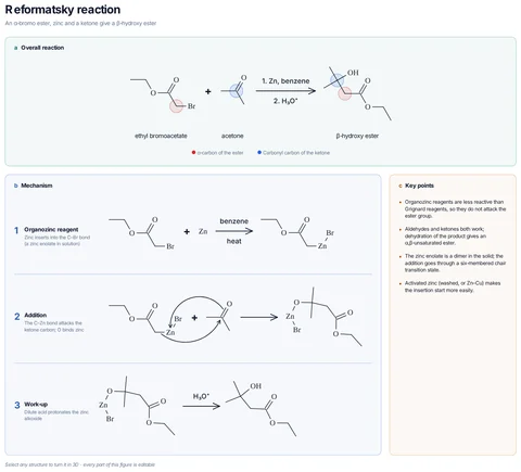 Reformatsky reaction template preview