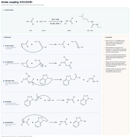 Amide coupling: EDC/HOBt template preview