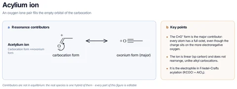 Acylium ion template preview