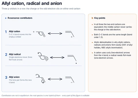 Allyl cation, radical and anion template: The allyl cation (π bond into the empty orbital), the allyl radical (three fish-hook arrows) and the allyl anion (lone pair into the π system), each with two equivalent forms.