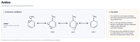 Aniline template: PhNH₂: the neutral form and three charge-separated forms with N⁺ and the negative charge on the ortho, para and other ortho carbons.