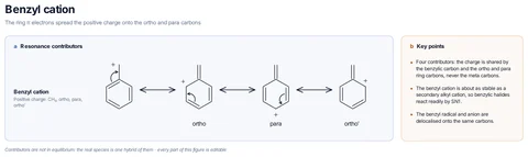 Benzyl cation template: PhCH₂⁺: the cation on CH₂, then on the two ortho carbons and the para carbon, each form reached by moving one ring π bond.