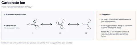 Carbonate ion template preview