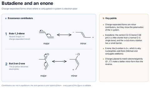 Butadiene and an enone template: Buta-1,3-diene and but-3-en-2-one: the neutral form and the minor charge-separated form; for the enone the β-carbon carries δ+, as in conjugate addition.