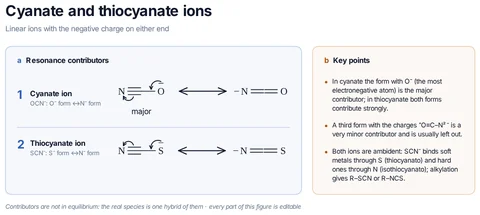Cyanate and thiocyanate ions template preview