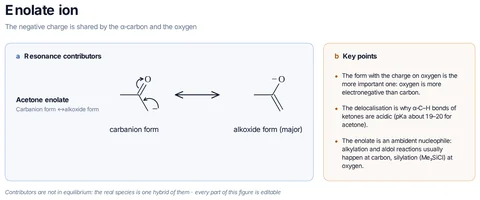 Enolate ion template: The acetone enolate: carbanion form ↔ alkoxide form; the O⁻ form is the major contributor, but the enolate reacts with most carbon electrophiles at carbon.