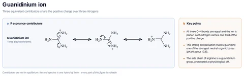 Guanidinium ion template preview