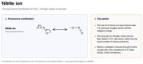 Nitrite ion template: NO₂⁻: ⁻O–N=O ↔ O=N–O⁻, two equivalent forms with a lone pair on nitrogen, so the ion is bent.