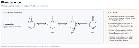 Phenoxide ion template: PhO⁻: four contributors with the negative charge on O, ortho, para and the other ortho carbon, each from one lone pair and one π bond.