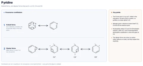 Pyridine template: Pyridine: the two Kekulé structures, and the charge-separated forms with N⁻ and the positive charge on C2, C4 and C6.