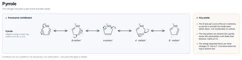 Pyrrole template preview