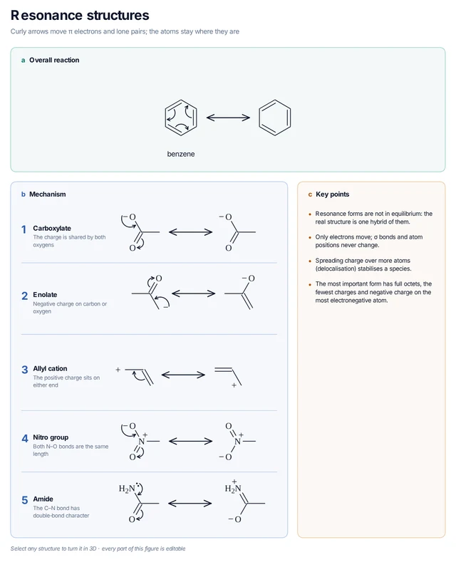 Resonance structures template: Benzene, carboxylate, enolate, allyl cation, nitro group and amide: each pair of resonance forms with its arrows.