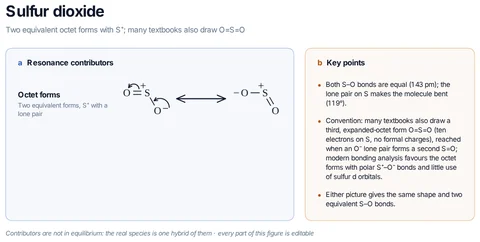 Sulfur dioxide template: SO₂: the two equivalent octet forms ⁻O–S⁺=O ↔ O=S⁺–O⁻, each with a lone pair on sulfur; the key points explain the expanded-octet O=S=O drawing many textbooks use.