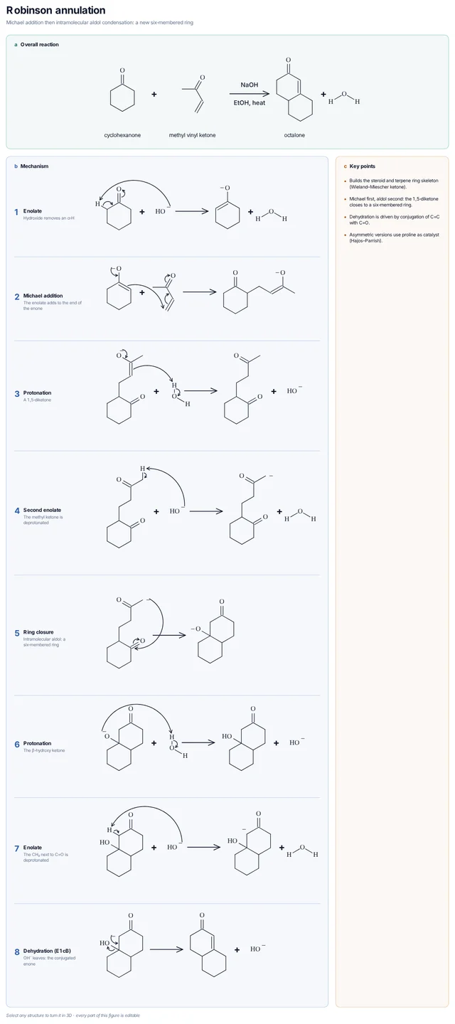 Robinson annulation mechanism template