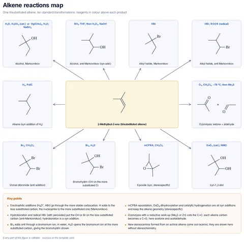 Alkene reactions map template preview