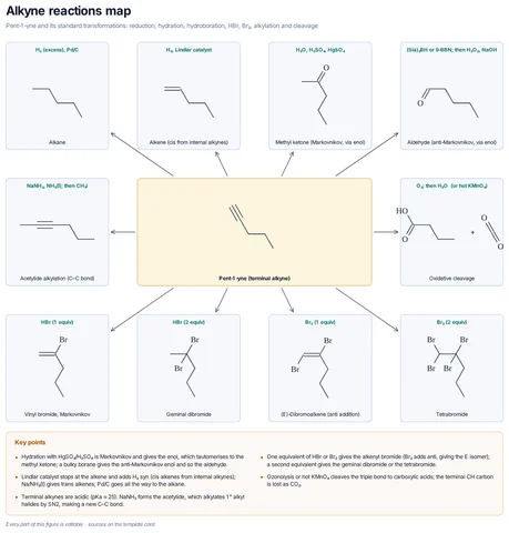 Alkyne reactions map template preview