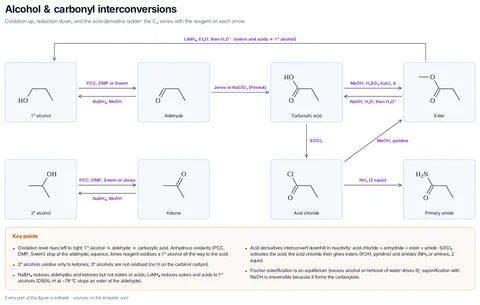 Alcohol & carbonyl interconversions template preview