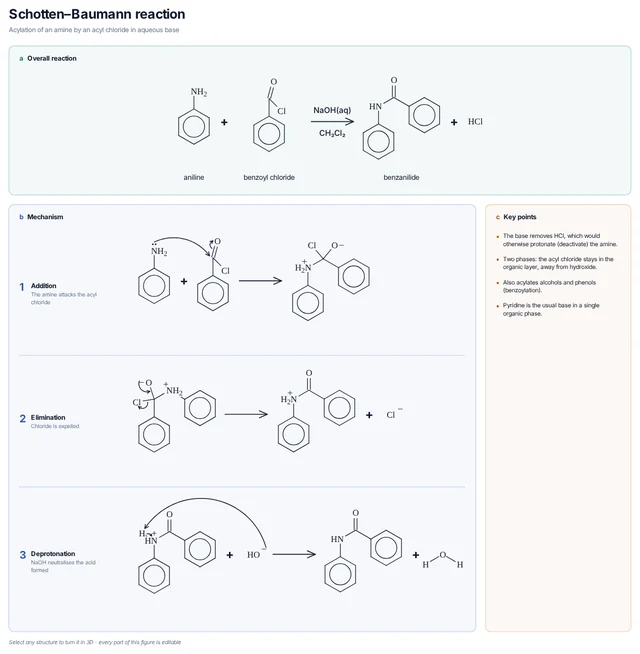 Schotten–Baumann reaction mechanism template