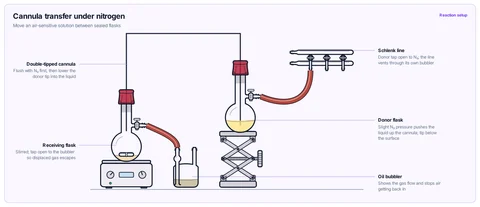 Cannula transfer under nitrogen template: Donor Schlenk flask on the N₂ line, receiver vented to an oil bubbler, joined through septa by a double-tipped cannula.