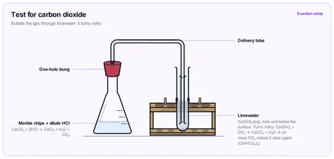 Test for carbon dioxide template: GCSE / high school (CBSE class 10): CO₂ from marble chips and dilute HCl in a conical flask, carried by a delivery tube through a one-hole bung into limewater in a test tube.