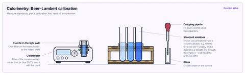 Colorimetry: Beer–Lambert calibration template: Colorimeter with a cuvette in place, standard solutions of increasing concentration in a rack, and a blank cuvette with a dropping pipette; A = εcl. AP / IB / A-level.