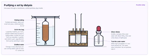 Purifying a sol by dialysis template: Freshly made iron(III) hydroxide sol in a knotted visking tubing bag hung in a beaker of distilled water; a sample of the outer water gives a white precipitate with silver nitrate. CBSE class 12; university colloid labs.