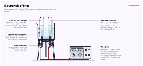 Electrolysis of brine template: Sodium chloride solution in a cell with carbon electrodes sealed through the base, an inverted test tube over each electrode, wired to a low-voltage DC supply; copper(II) sulfate solution works the same way. GCSE / high school (CBSE class 10).
