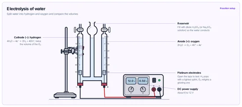 Electrolysis of water template: Hofmann voltameter clamped on a stand, platinum electrodes wired to a DC power supply; H₂ at the cathode, O₂ at the anode.