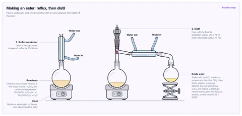 Making an ester: reflux, then distil template: A-level / AP / IB / Abitur: ethanoic acid, ethanol and conc. H₂SO₄ refluxed in a round-bottom flask with an open condenser, then the same flask fitted for distillation to collect ethyl ethanoate at 74–79 °C.