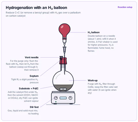 Hydrogenation with an H₂ balloon template: Stirred flask of substrate and Pd/C in solvent, sealed with a septum; H₂ balloon on a needle, with a vent needle for purging. University.