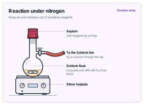 Reaction under nitrogen template preview