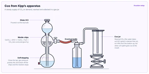 Gas from Kipp's apparatus template: Kipp's apparatus (marble chips and dilute HCl), a Drechsel bottle of water, and a gas jar filled by downward delivery.