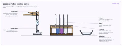 Lassaigne's test (sodium fusion) template: A small piece of sodium and the compound heated in an ignition tube in a Bunsen flame, plunged red hot into distilled water in a china dish, and the boiled, filtered extract tested in test tubes. CBSE class 11 to 12, JEE / NEET.