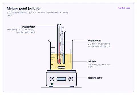 Melting point (oil bath) template: Thermometer with a capillary in a stirred oil bath on a hotplate.