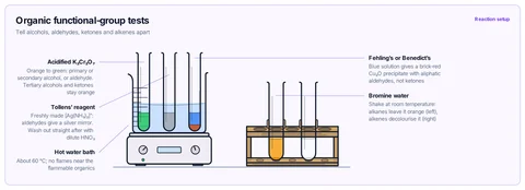 Organic functional-group tests template: Acidified dichromate, Tollens' and Fehling's tubes warming in a hot water bath on a hotplate, and bromine water tubes in a rack (results shown). A-level / AP / IB / CBSE.
