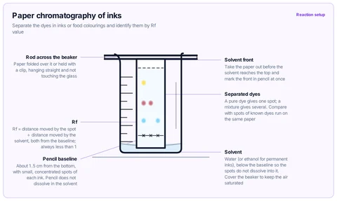 Paper chromatography of inks template: A strip of chromatography paper hung from a rod across a beaker, its pencil baseline of ink spots above a shallow layer of solvent. GCSE / high school (CBSE, NGSS, IB).